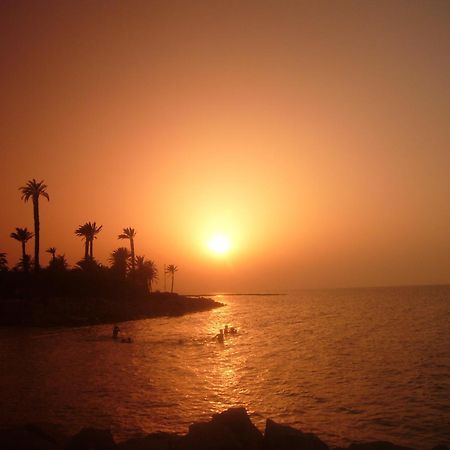 Hotel Les Palmiers Monastir Exterior photo