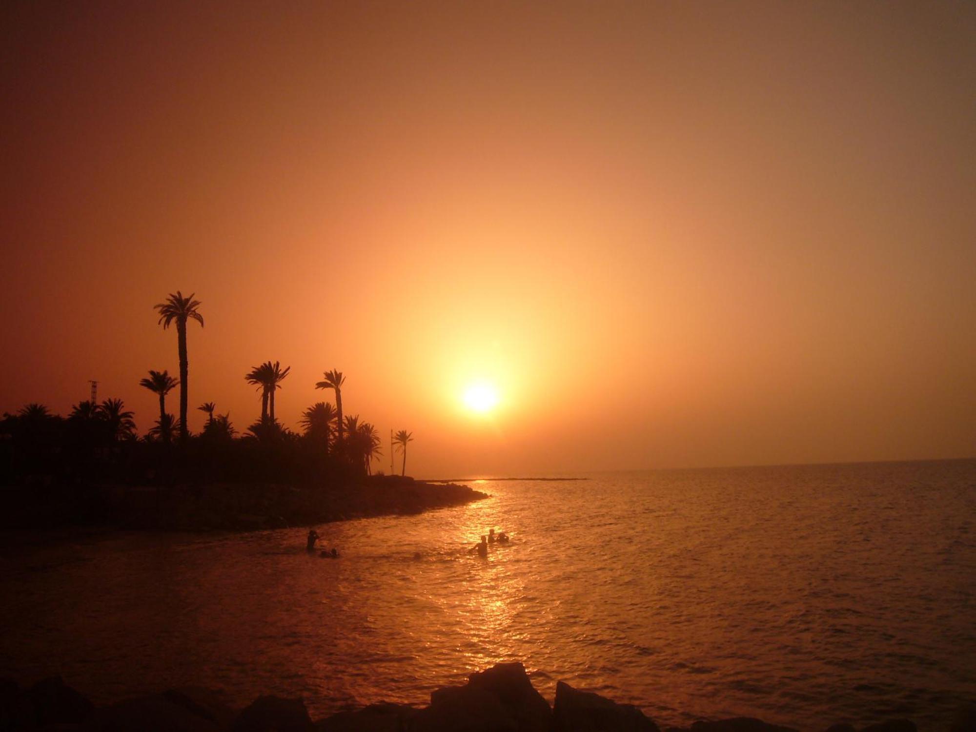 Hotel Les Palmiers Monastir Exterior photo